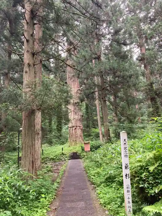 羽黒山五重塔(出羽三山神社)(山形県)