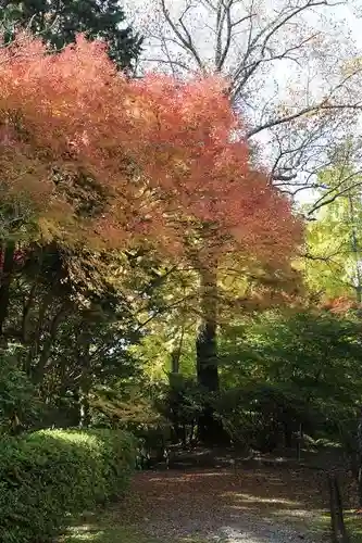 播州清水寺の自然