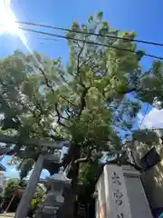 大神社(大阪府)