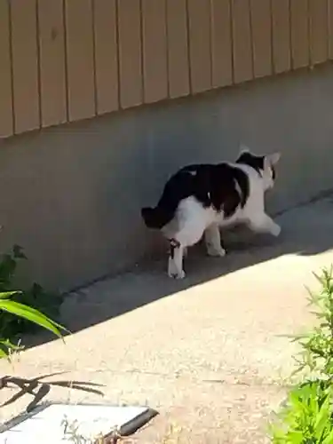 五郎兵衛稲荷神社(茨城県)