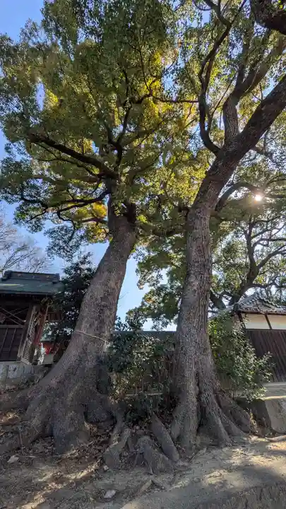 常磐神社(京都府)