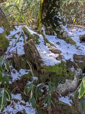 恵那神社奥宮本社(長野県)