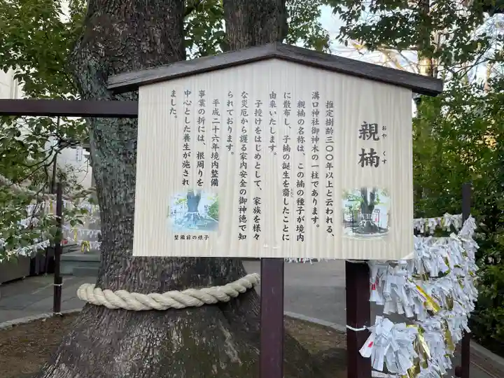溝口神社の自然