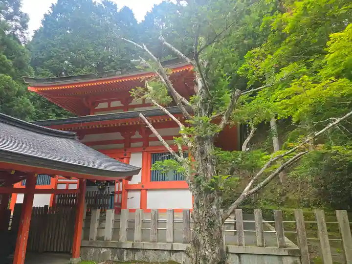 高野山金剛峯寺奥の院(和歌山県)