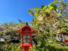 六孫王神社の建物その他