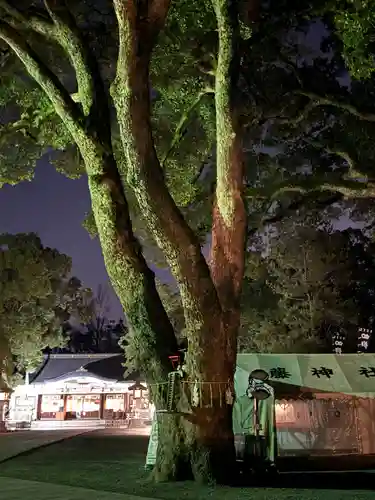 加藤神社(熊本県)