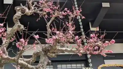 妙本寺(大阪府)