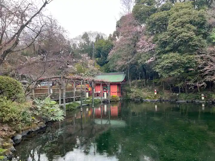 富士山本宮浅間大社(静岡県)