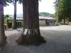 花岡神社の自然