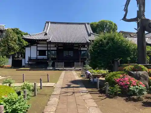 円乗院(東京都)