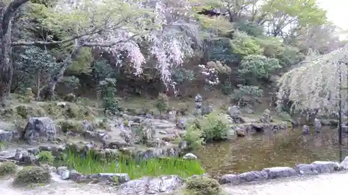 竹林院の庭園