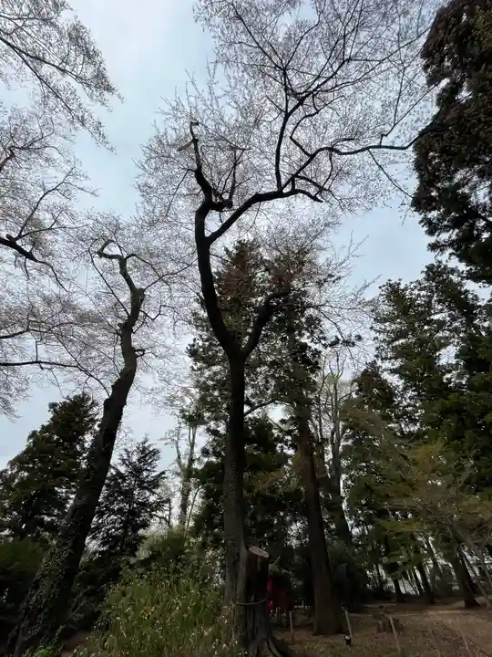 神炊館神社 ⁂奥州須賀川総鎮守⁂(福島県)