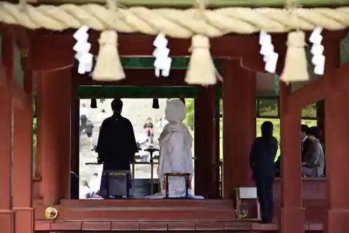 鶴岡八幡宮(神奈川県)