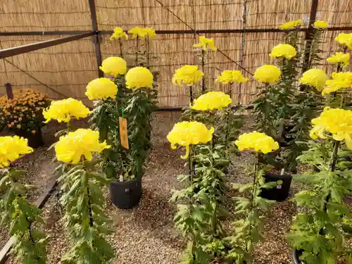 道明寺天満宮(大阪府)