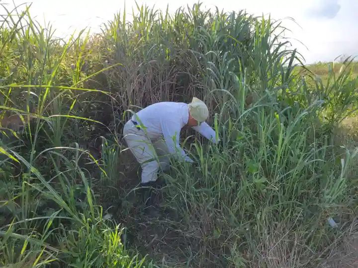 伏木香取神社(茨城県)