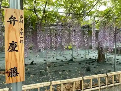 白旗神社(神奈川県)