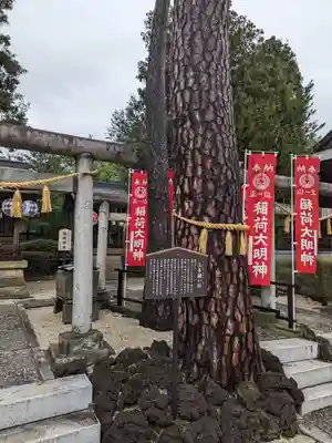中野沼袋氷川神社(東京都)