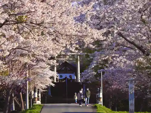 岩内神社の自然