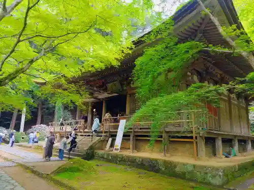 室生寺の本殿・本堂