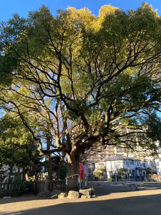 平塚三嶋神社(神奈川県)