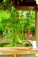 赤坂氷川神社(東京都)