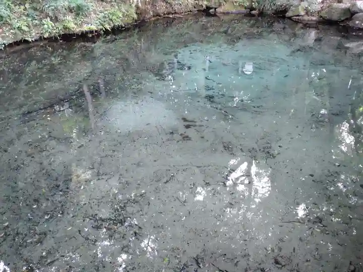 泉神社(茨城県)