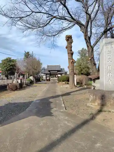 桂性寺(埼玉県)