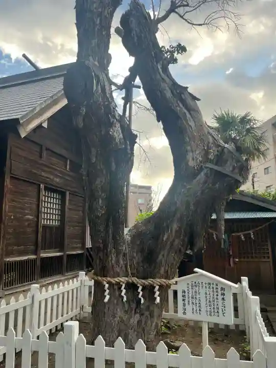 結城神明神社(千葉県)
