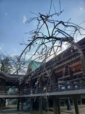 妙法寺(東京都)