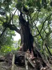 都萬神社の自然