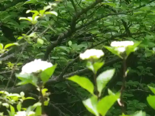 安國論寺（安国論寺）の自然