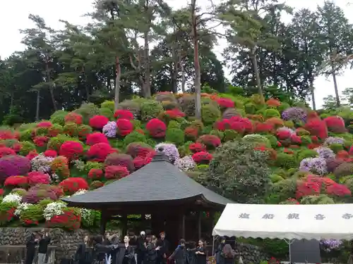 塩船観音寺の自然
