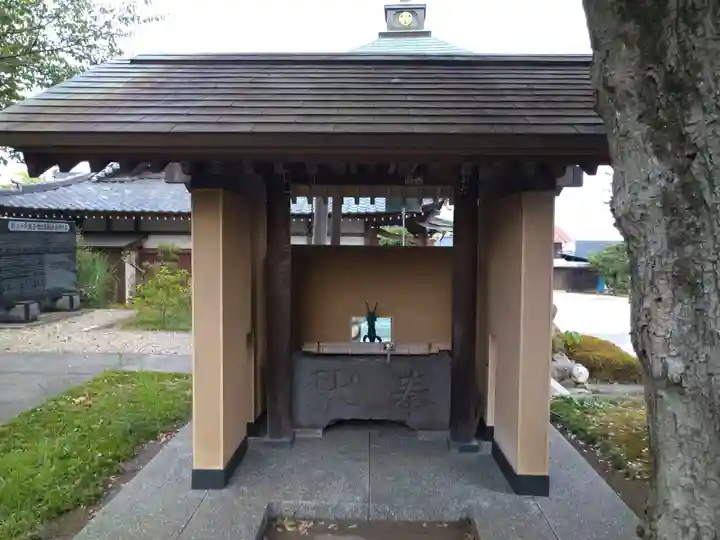 龍圓寺の手水舎