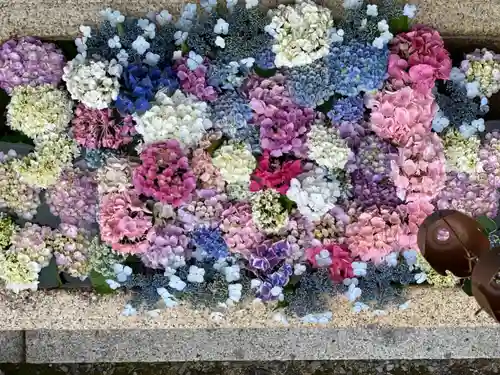 伊勢の国 四天王寺の手水舎