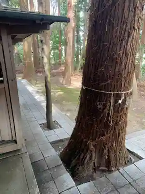 熊野神社(茨城県)