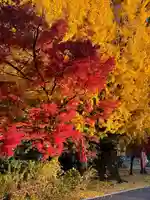 桃太郎神社(栗栖)の自然