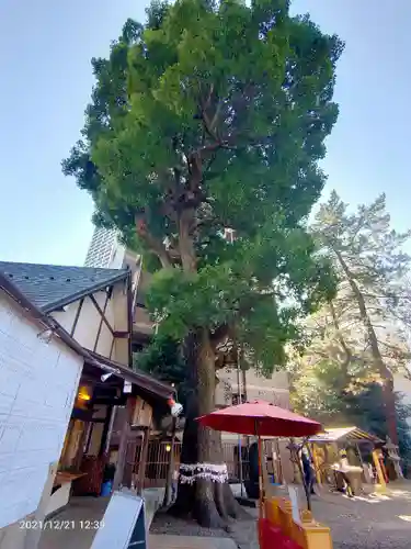 上目黒氷川神社(東京都)