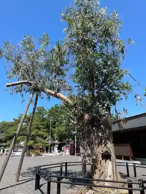 氣比神宮(福井県)