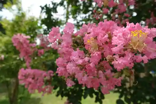 止止呂支比売命神社の自然