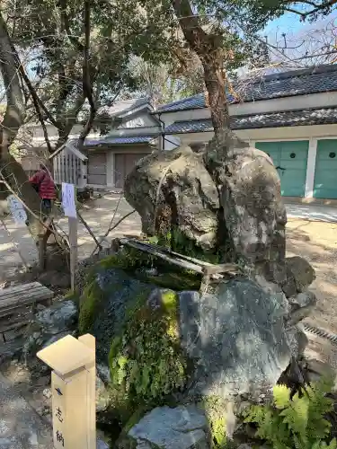 藤森神社の{uncategorized: "未分類", other: "その他", undefined: "問題あり", building: "その他建物", grave: "お墓", sacred_gate: "鳥居", guardian: "狛犬", statue: "像", buddha: "仏像", history: "歴史", nature: "自然", garden: "庭園", animal: "動物", pagoda: "塔", temizu: "手水舎", mountain_gate: "山門・神門", sanctuary: "本殿・本堂", subordinate: "末社・摂社", art: "芸術", scenery: "景色", jizo: "地蔵", ema: "絵馬", goshuin: "御朱印", omikuji: "おみくじ", items: "授与品その他", amulet: "お守り", goshuincho: "御朱印帳", eats: "食事", festival: "お祭り", votive_dance: "神楽", shichigosan: "七五三参", wedding: "結婚式", experience: "体験その他", initially: "初詣", around: "周辺", anti_infection: "感染症対策"}