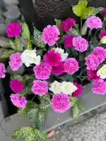 上尾御嶽神社の手水舎