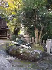 松尾寺の手水