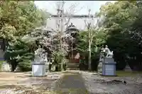 江浦八幡神社の本殿・本堂