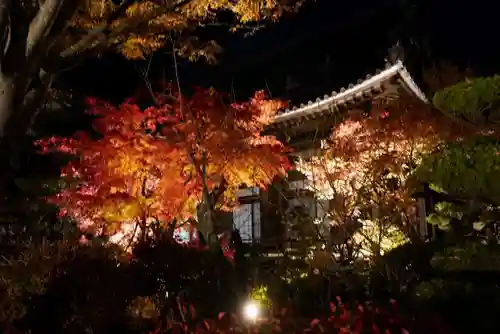 蓮光寺(山口県)