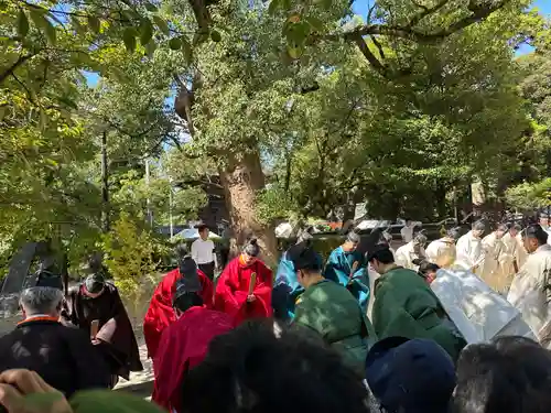 香椎宮(福岡県)