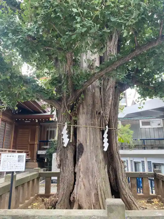 大鳥神社(東京都)
