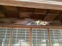 信楽寺の本殿・本堂