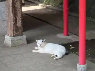 菊名池弁財天(神奈川県)