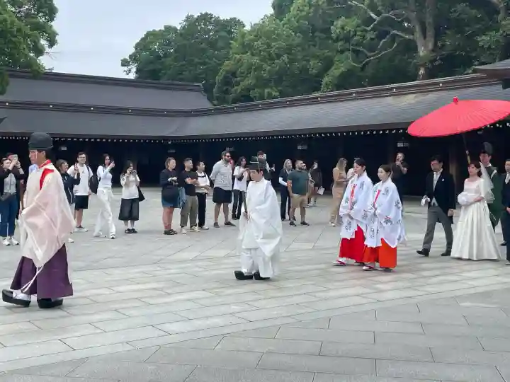 明治神宮(東京都)