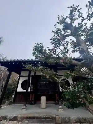 東運寺の{uncategorized: "未分類", other: "その他", undefined: "問題あり", building: "その他建物", grave: "お墓", sacred_gate: "鳥居", guardian: "狛犬", statue: "像", buddha: "仏像", history: "歴史", nature: "自然", garden: "庭園", animal: "動物", pagoda: "塔", temizu: "手水舎", mountain_gate: "山門・神門", sanctuary: "本殿・本堂", subordinate: "末社・摂社", art: "芸術", scenery: "景色", jizo: "地蔵", ema: "絵馬", goshuin: "御朱印", omikuji: "おみくじ", items: "授与品その他", amulet: "お守り", goshuincho: "御朱印帳", eats: "食事", festival: "お祭り", votive_dance: "神楽", shichigosan: "七五三参", wedding: "結婚式", experience: "体験その他", initially: "初詣", around: "周辺", anti_infection: "感染症対策"}